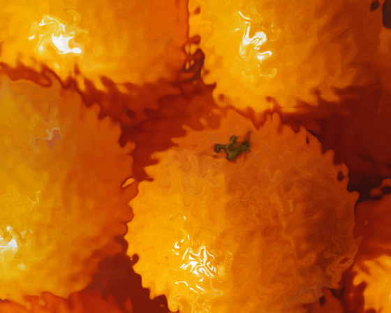 1orange_jiggle