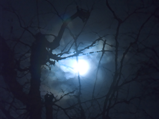 1zspooky